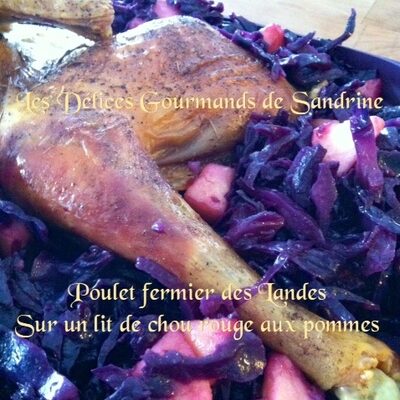 poulet fermier des landes sur lit de choux rouges